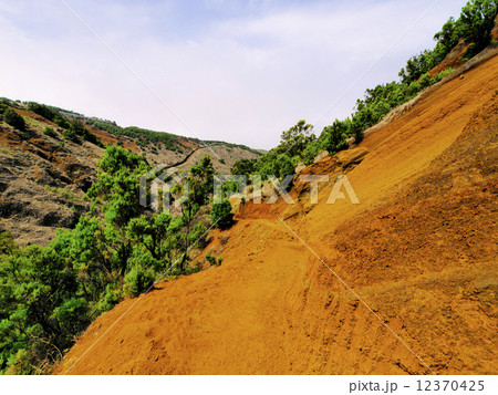 Orange Soi on Hierro 12370425