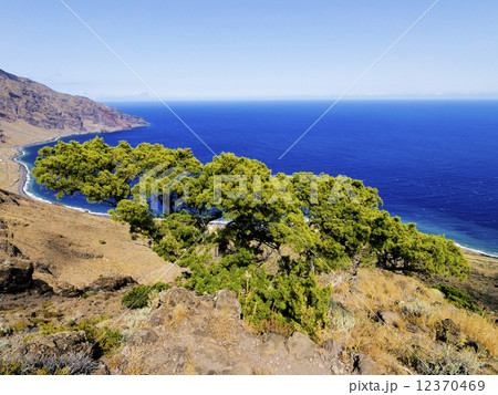 Playas, Hierro Island 12370469