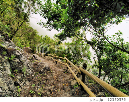 Garajonay National Park Garajonay National Park 12370576