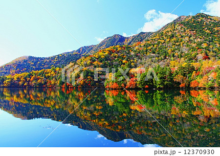 湯の湖紅葉 12370930