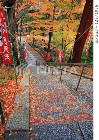秋の京都山科・毘沙門堂門跡（弁財天・階段） 12371056