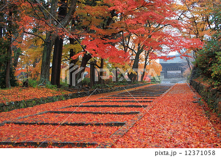 秋の京都山科・毘沙門堂門跡 12371058