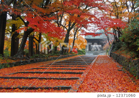 京都の観光地(Kyoto) 0