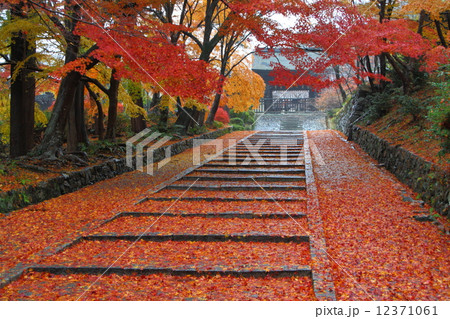 秋の京都山科・毘沙門堂門跡 秋の京都山科・毘沙門堂門跡 12371061