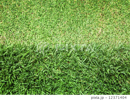 lawn 12371404