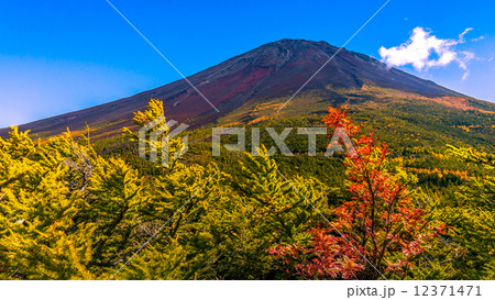 秋の富士山01 12371471