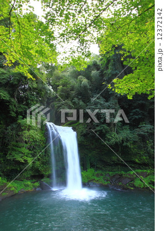新緑の慈恩の滝 12372142