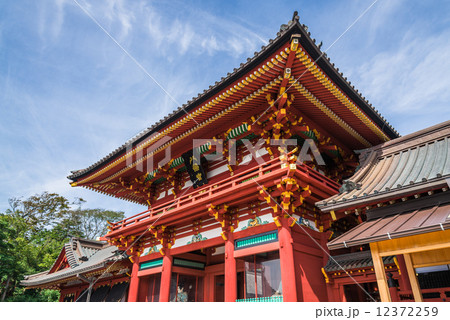 鎌倉　鶴岡八幡宮　本宮 12372259