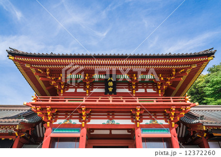 鎌倉 鶴岡八幡宮 本宮の写真素材