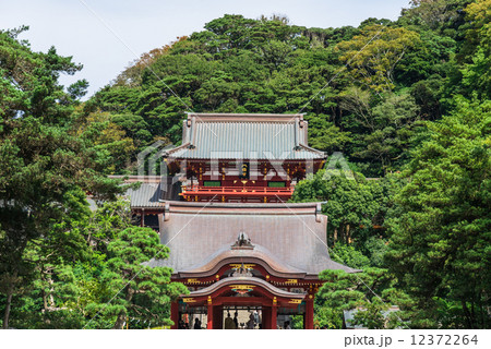 鎌倉　鶴岡八幡宮　舞殿と本宮 12372264