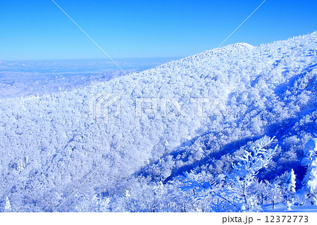 森吉山の樹氷 12372773
