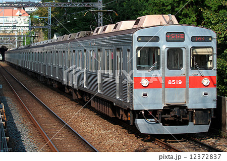 東急8500系電車　田園都市線 12372837
