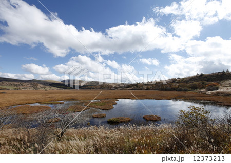 八島ヶ原湿原 12373213