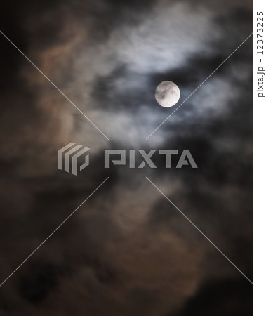 朧月夜 朧月夜 12373225