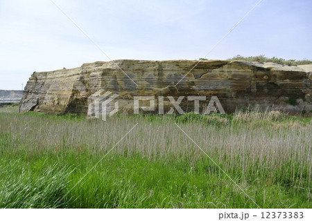 屏風ヶ浦(千葉県銚子市) 屏風ヶ浦(千葉県銚子市) 12373383