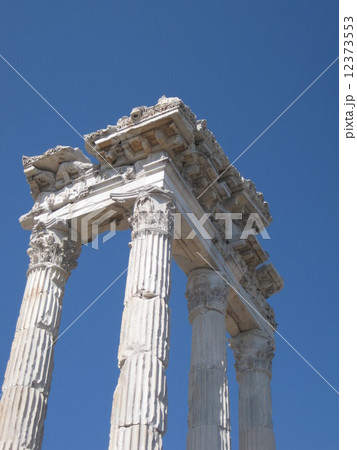 ベルガマ 12373553