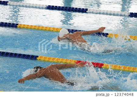 バタフライ バタフライ 12374048