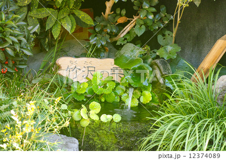 阿蘇　水基 12374089