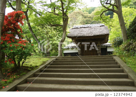 円覚寺　居士林 12374942