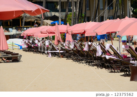 アメリカ　ハワイ　 12375562