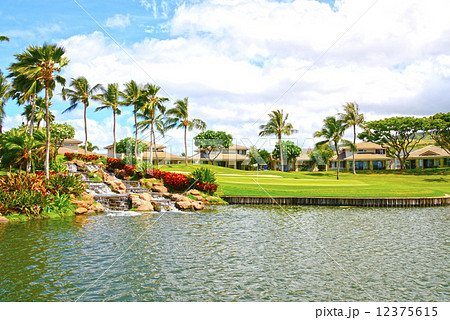 アメリカ ハワイ コオリナゴルフ場 アメリカ ハワイ コオリナゴルフ場 12375615