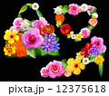花のファッション小物　黒背景 12375618