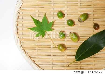 秋イメージのざる 12376477