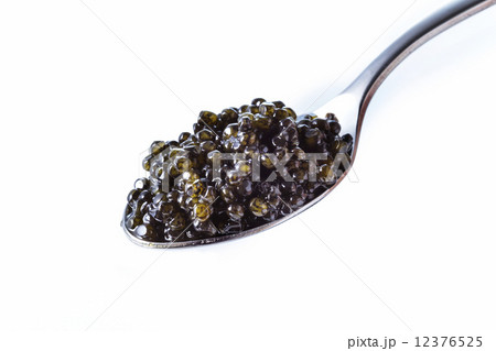 キャビア キャビア 12376525