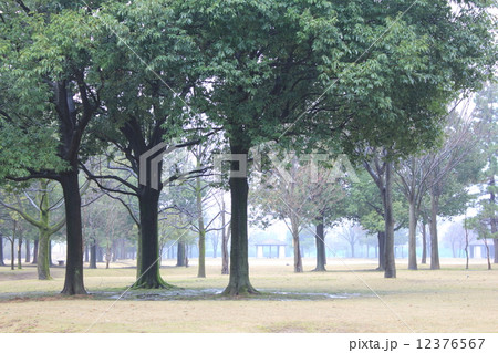 富山県 常願寺川運動公園 富山県 常願寺川運動公園 12376567