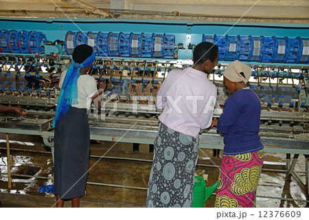 ルワンダ　キガリ　工場 12376609