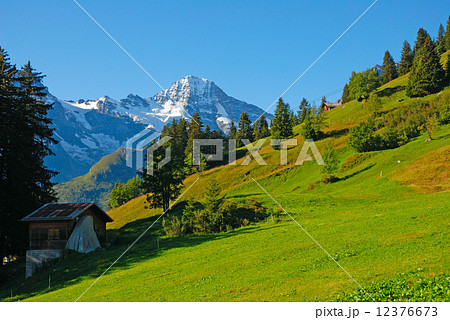 Meadow in Switzerland 12376673