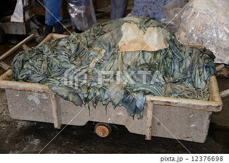 エチオピア アジスアベバ 工場 エチオピア アジスアベバ 工場 12376698