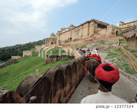 ゾウタクシーに乗ってアンベール城へ ゾウタクシーに乗ってアンベール城へ 12377324