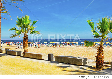 Seafront, beach,coast in Spain. Suburb of Barcelona, Catalonia Seafront, beach,coast in Spain. Suburb of Barcelona, Catalonia 12377459