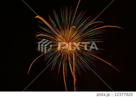 花火9 12377820