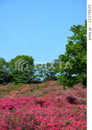 矢板市　長峰公園 12378020