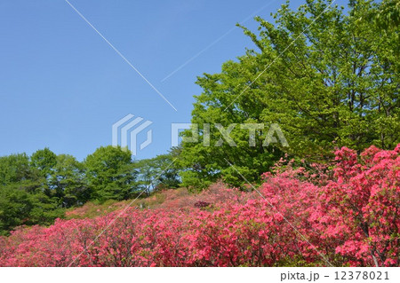 矢板市　長峰公園 12378021