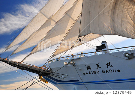 帆船 12379449
