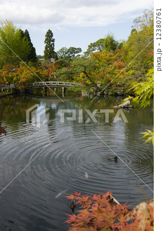 永観堂禅林寺 12380761