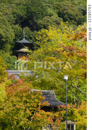 永観堂禅林寺 12380763