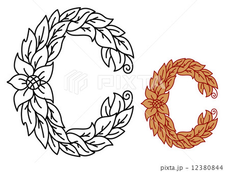 Letter B in floral and foliate font 12380844