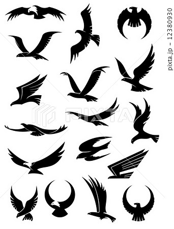 Flying Eagle Falcon And Hawk Vector Iconsのイラスト素材