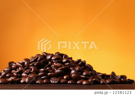 コーヒー豆 コーヒー豆 12381123