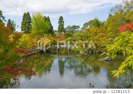 永観堂禅林寺 12381153