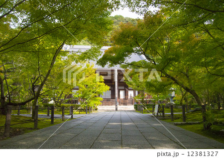 永観堂禅林寺 12381327