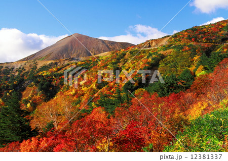 紅葉の磐梯吾妻スカイライン 天狗の庭の写真素材