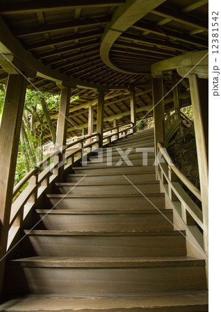 永観堂禅林寺 12381542