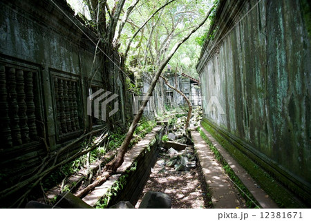 カンボジア　ベンメリア遺跡 12381671