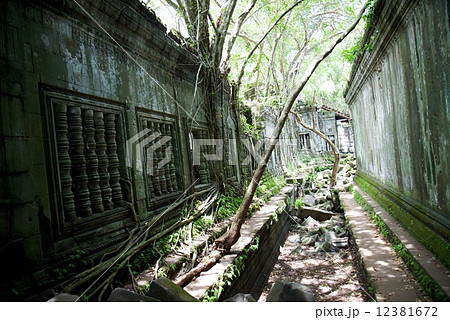 カンボジア　ベンメリア遺跡 12381672