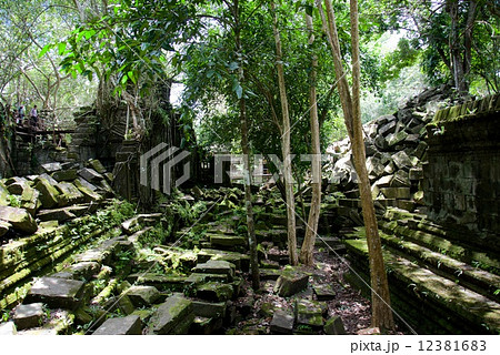 カンボジア　ベンメリア遺跡 12381683